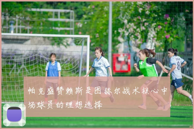 帕克盛赞赖斯是图赫尔战术核心中场球员的理想选择